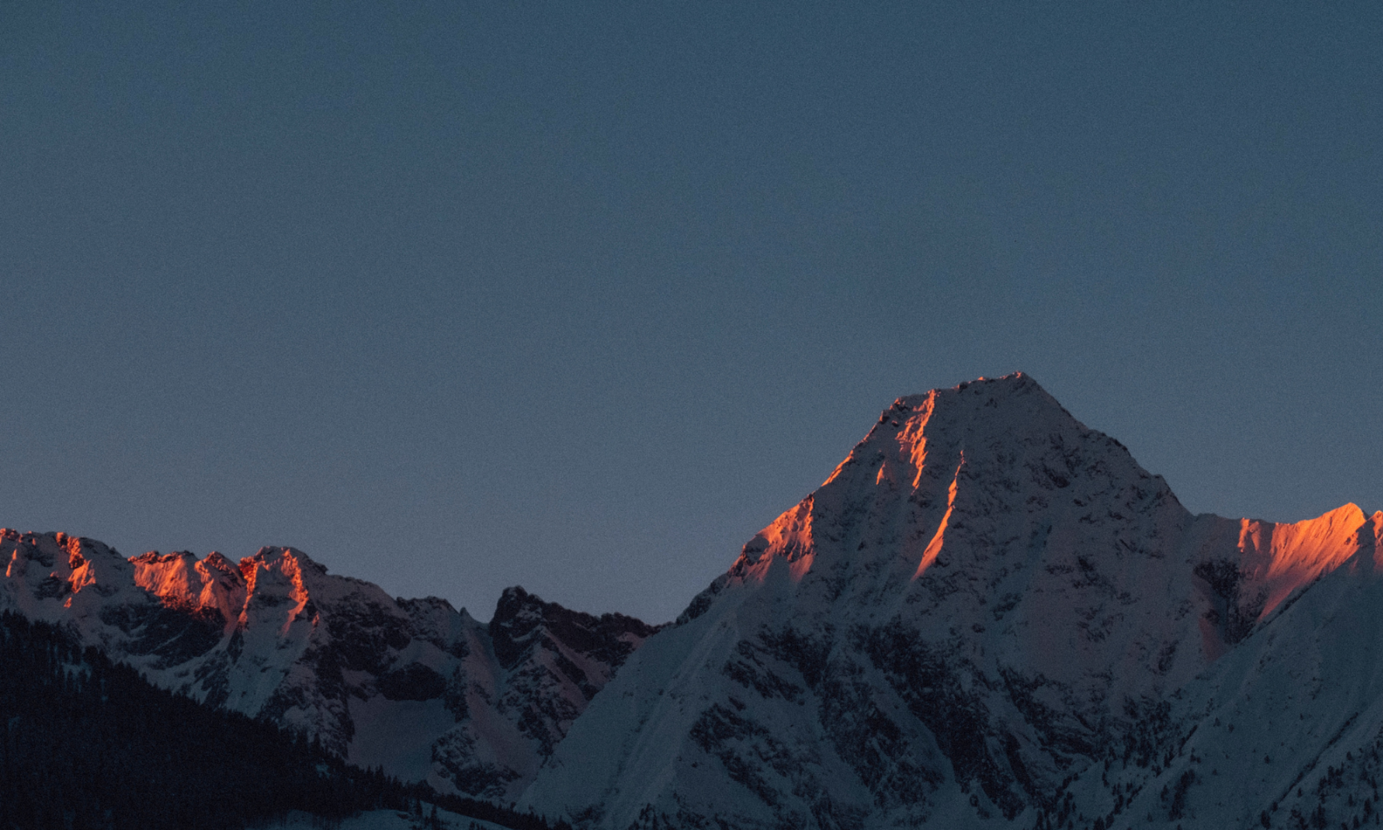 Banner acerca de Numa Nido