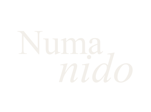 Numa Nido_Logo Web